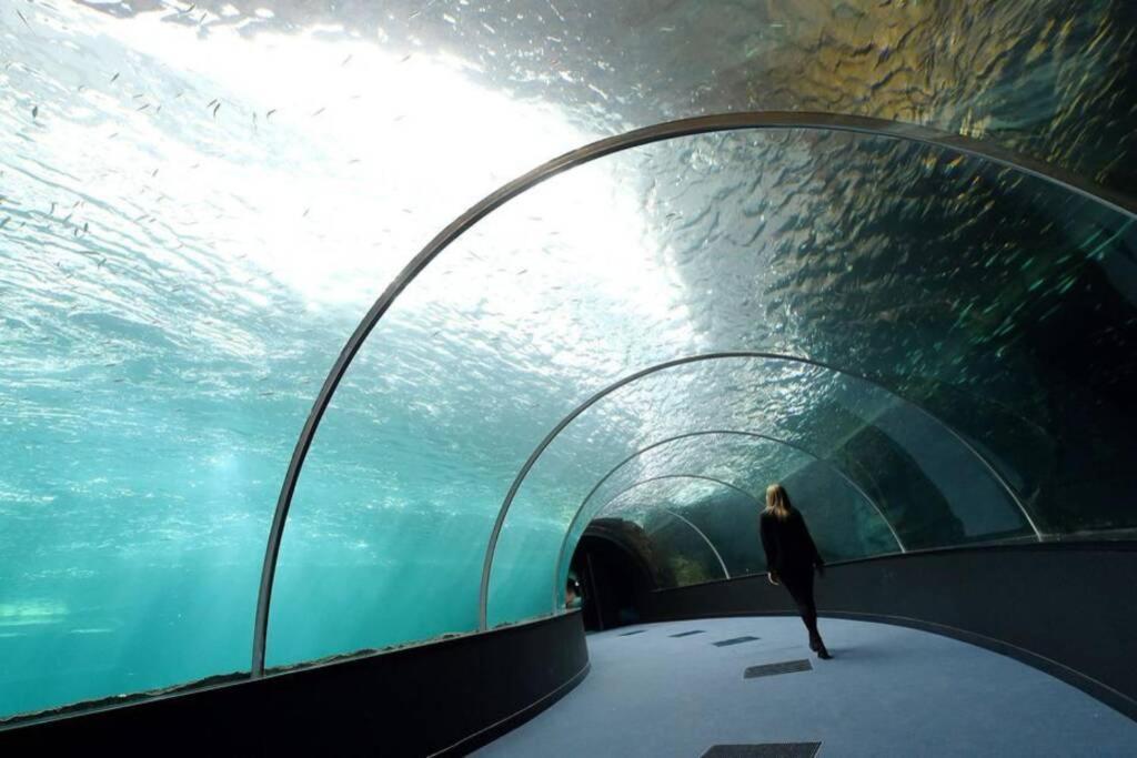 La Perle Marine :boulogne Sur Ferienhaus Boulogne-sur-Mer