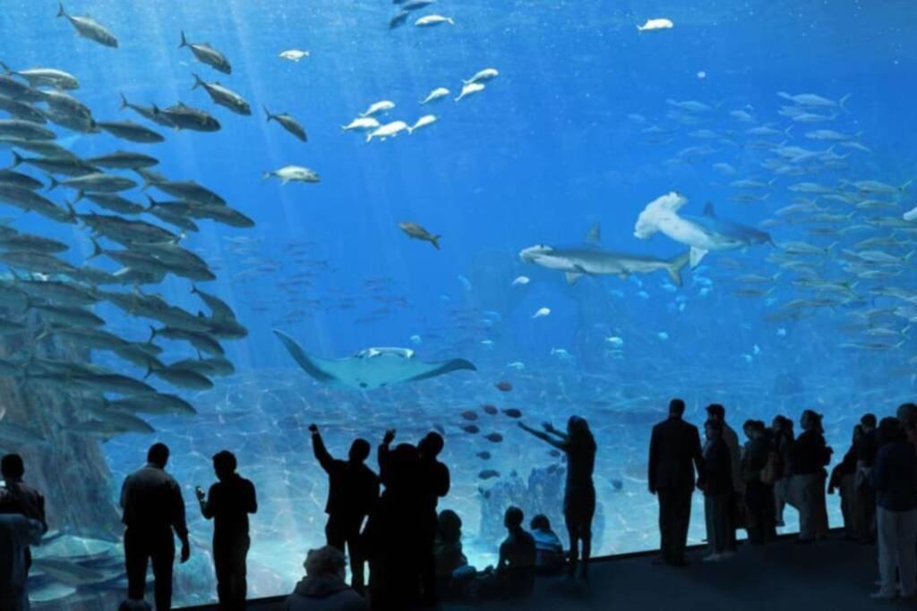 La Perle Marine :boulogne Sur * Boulogne-sur-Mer